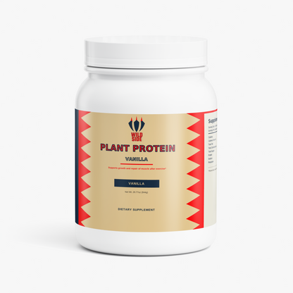 Plant Protein (Vanilla)